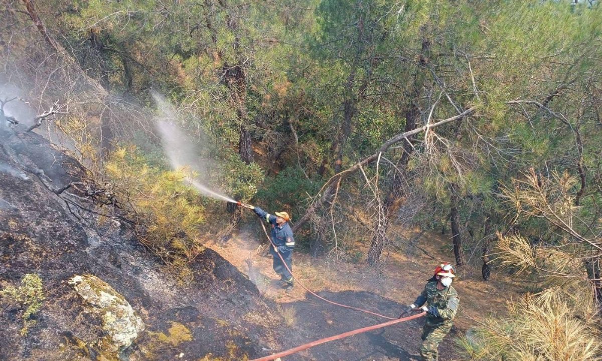Ανείπωτη θλίψη προκαλεί η πυρκαγιά στο Εθνικό Πάρκο Δαδιάς-Λευκίμης-Σουφλίου καταστρέφοντας έναν σημαντικό θησαυρό βιοποικιλότητας.