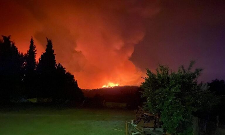Φωτιά στον Έβρο: Ασύλληπτη η καταστροφή στο δάσος της Δαδιάς – Καίγεται για 4η μέρα το Εθνικό πάρκο