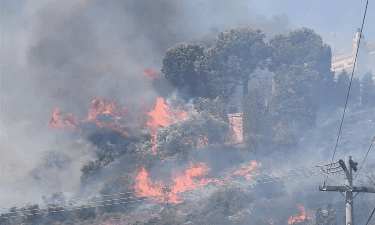 Φωτιά στον Έβρο: Καταστροφή! Αγωνία για το δάσος της Δαδιάς – Ολονύχτια μάχη για να μη καεί ολοσχερώς