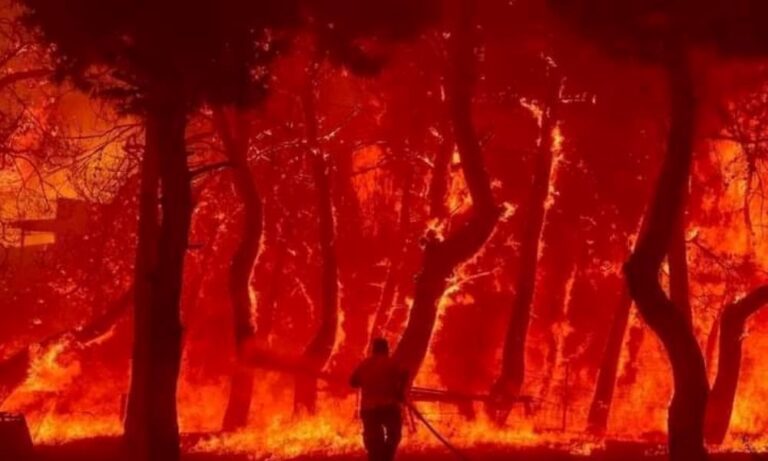 Twitter  – Βατερά: Βαξεβάνης: «Για τα κανάλια δεν καίγονται τα δάση» – «Η φωτιά έσβησε στη θάλασσα»