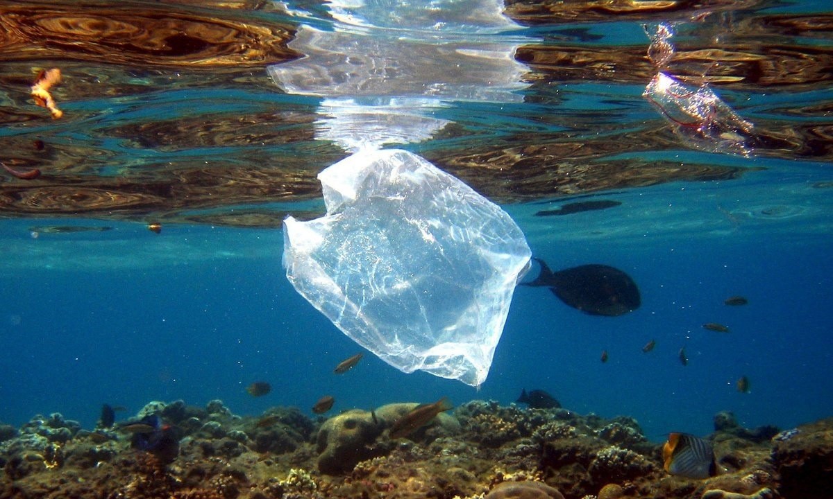 3 Ιουλίου: Παγκόσμια Ημέρα κατά της Πλαστικής Σακούλας