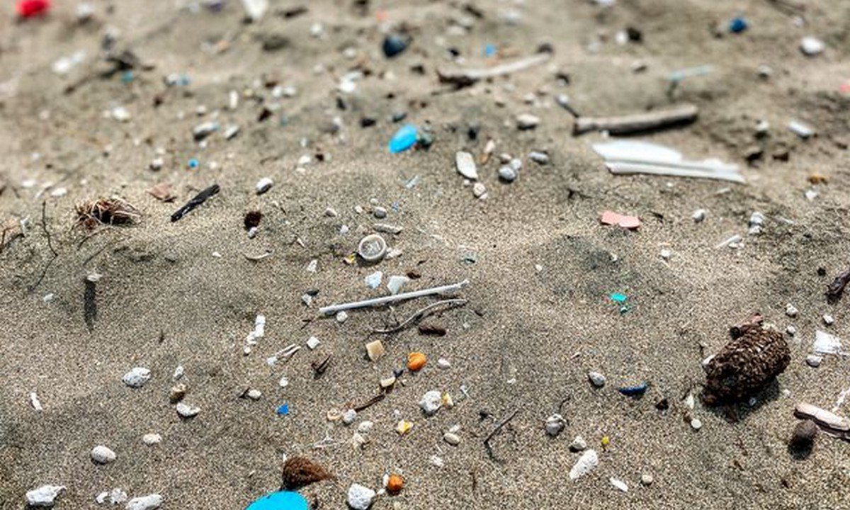Τουρκία – Θλίψη: Νεκρή πράσινη χελώνα – Η παραλία ήταν γεμάτη πλαστικά απορρίμματα (pic)