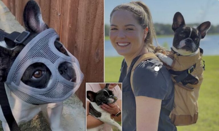 Δείτε γιατί έβαλαν σε γλυκό σκυλάκι μάσκα σαν του Χάνιμπαλ από τη Σιωπή των Αμνών