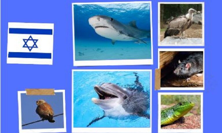 Ισραήλ: «Καρχαρίες, δελφίνια, αρουραίοι, γεράκια και σαύρες κατασκοπεύουν υπέρ του»