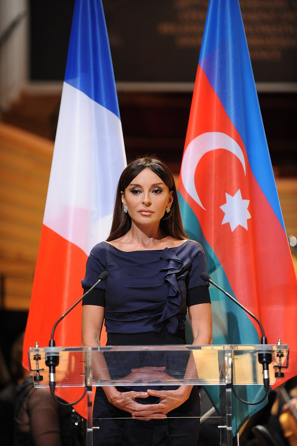 Μία από τις πιο εντυπωσιακές «πρώτες κυρίες» της υφηλίου, θεωρείται δικαίως η Μεχριβάν Αλίεβα, αντιπρόεδρος του Αζερμπαίτζάν.