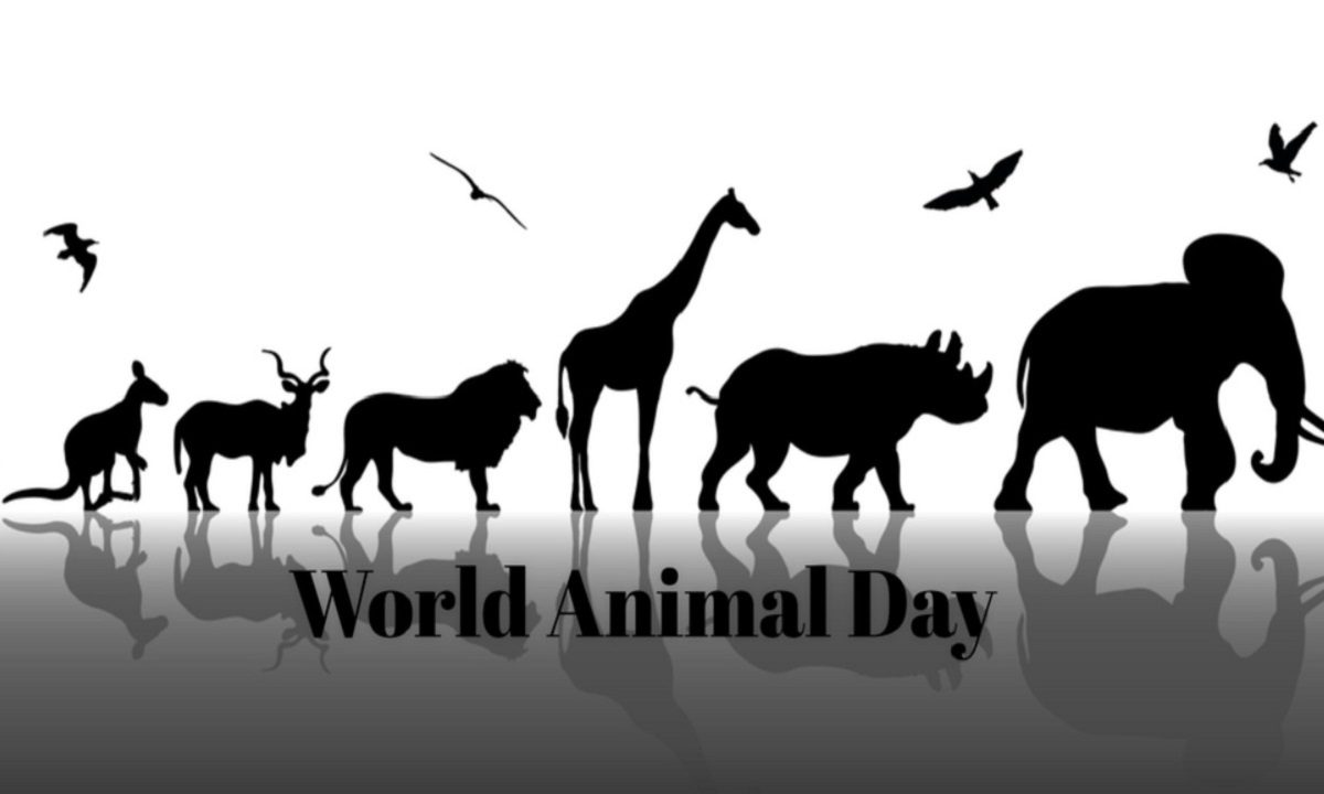 Κάθε χρόνο στις 4 Οκτωβρίου εορτάζεται η Παγκόσμια Ημέρα Ζώων, μια ημέρα καθαρά αφιερωμένη σε όλα τα ζώα του πλανήτη.