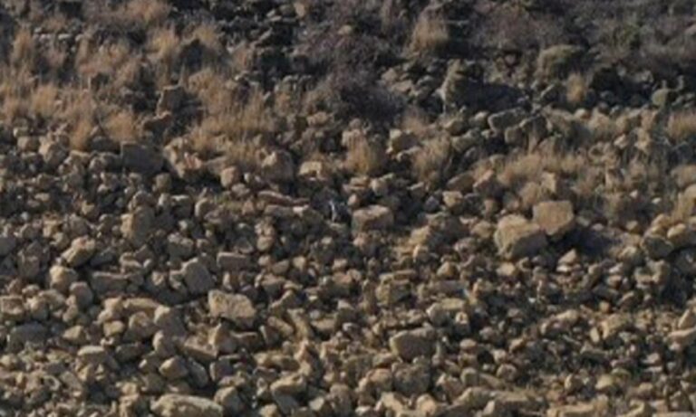 Αυτή η φωτογραφία είναι από την Τουρκία – Eίναι πολύ τρομακτική