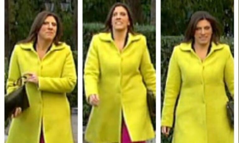 Shopping Star – «Κλάμα» στο Twitter: «Να δείτε που στο τέλος θα ντυθεί Κωνσταντοπούλου στο Προεδρικό!»