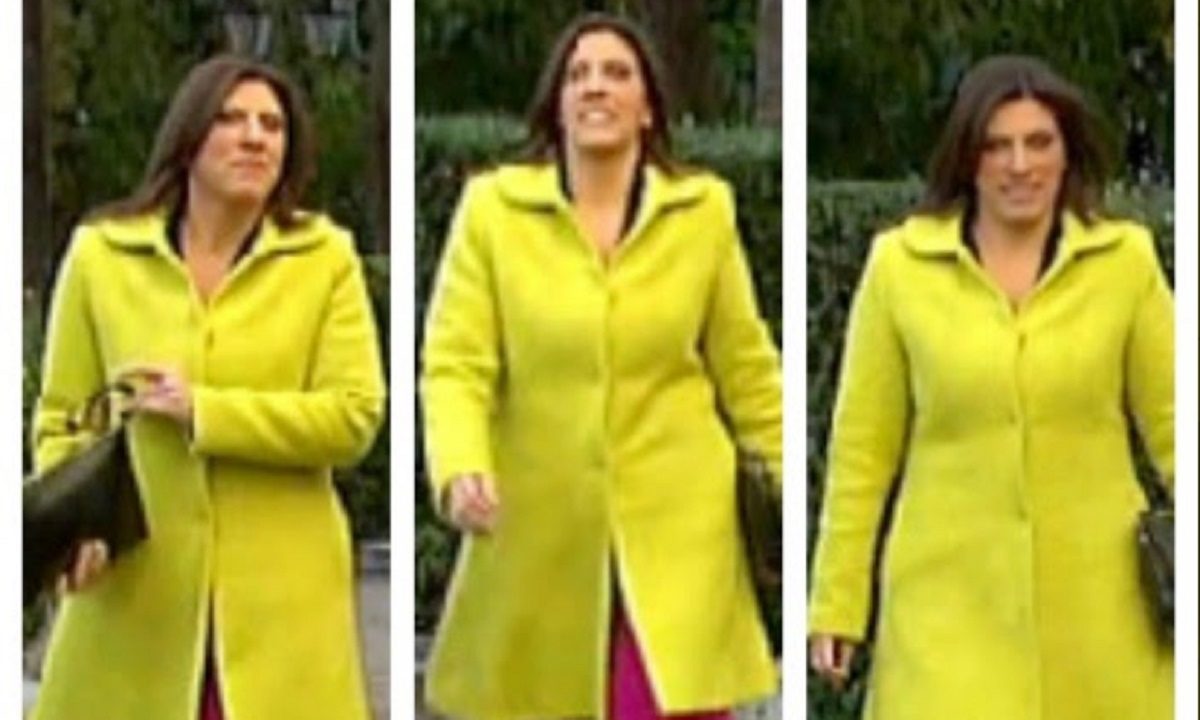 Shopping Star - «Κλάμα» στο Twitter: «Να δείτε που στο τέλος θα ντυθεί Κωνσταντοπούλου στο Προεδρικό!». Δείτε τις πιο λαχταριστές αναρτήσεις.