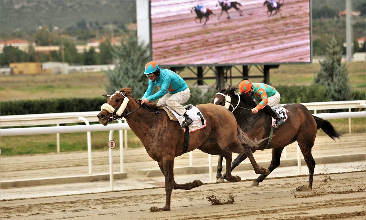 Πολλούς νικητές στο ΣΚΟΡ 6 και το ΣΚΟΡ 3 προσέφερε η 5η ιπποδρομιακή συγκέντρωση της χρονιάς στις εγκαταστάσεις του Markopoulo Park.