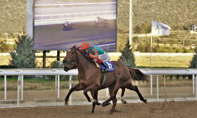 Markopoulo Park: Μεγάλα κέρδη μοίρασαν το ΣΚΟΡ 6 και το ΤΕΤΡΑΠΛΟ