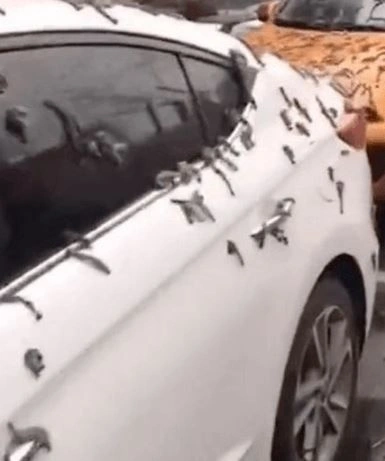 Έβρεξε σκουλήκια στην Κίνα; 