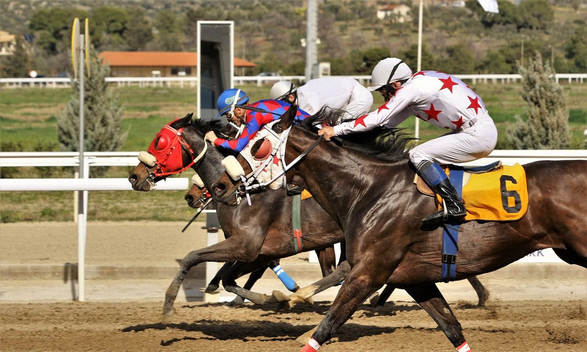 Markopoulo Park: Έξι ελληνικές ιπποδρομίες στη συγκέντρωση της Δευτέρας