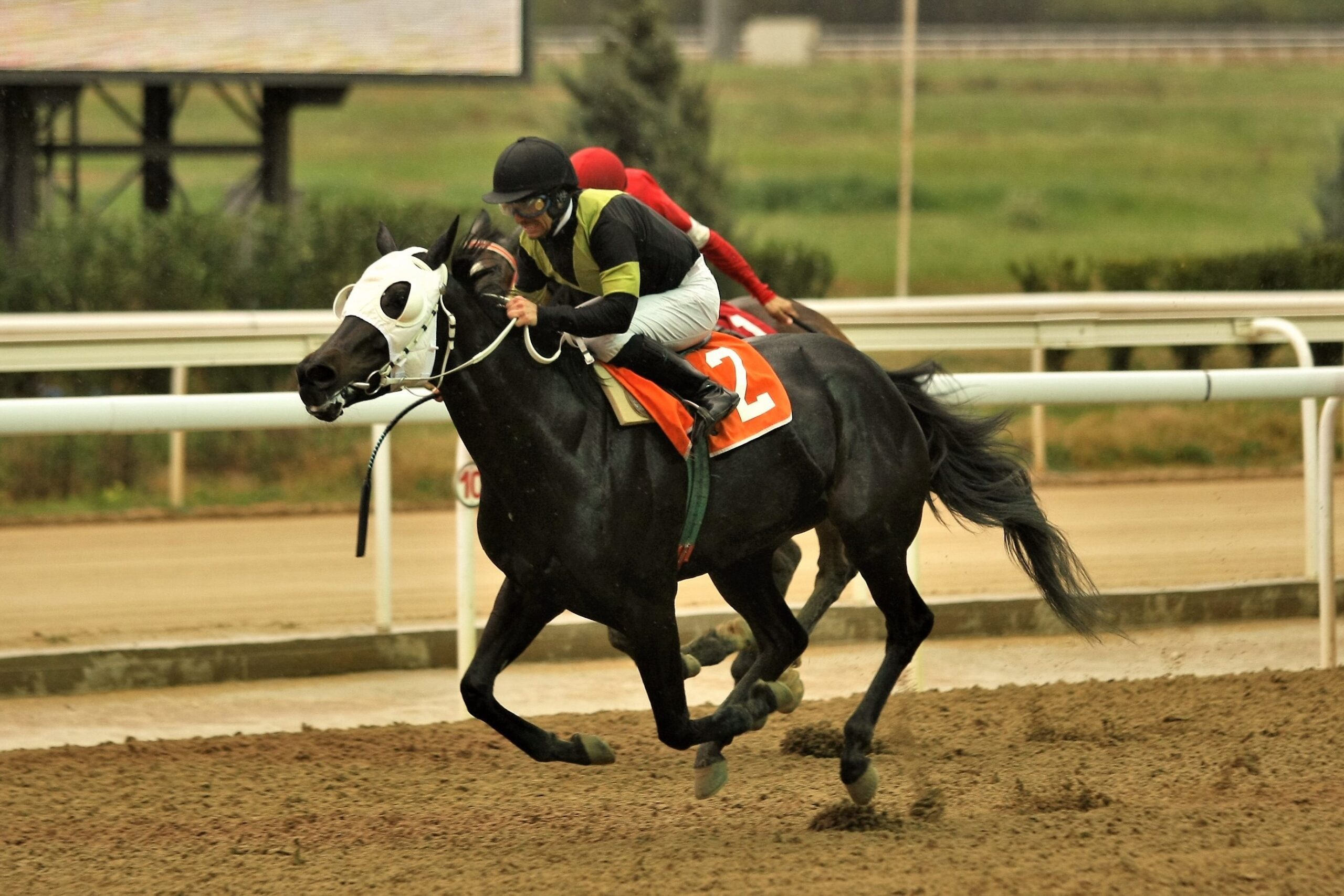 Markopoulo Park: Έξι ελληνικές ιπποδρομίες στη συγκέντρωση της Δευτέρας