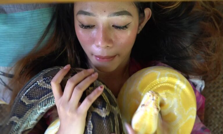 Φιλιππίνες: Συνέβη κι αυτό – Μασάζ από πύθωνες σε φάρμα άγριων ζώων! (vid)