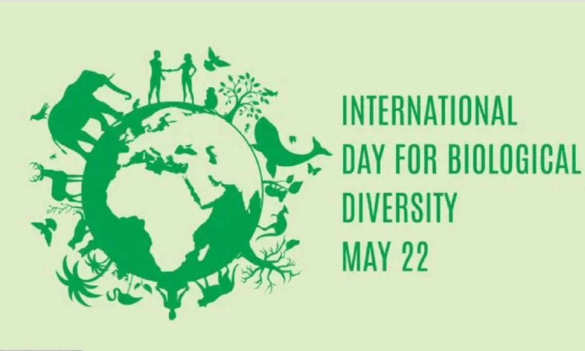22 Μαΐου: Γιορτάζουμε την Παγκόσμια Ημέρα Βιοποικιλότητας