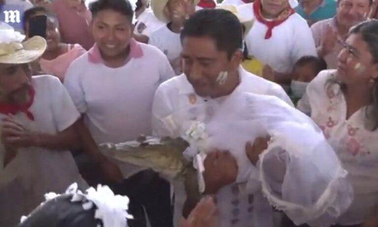 Viral δήμαρχος στο Μεξικό – Παντρεύτηκε αλιγάτορα τιμώντας προαιώνια παράδοση!