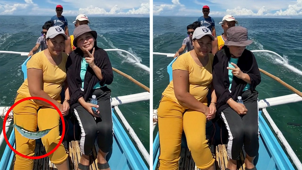 Viral: Απίστευτο και όμως αληθινό! Θύμα... κλοπής από ένα ιπτάμενο ψάρι έπεσε μία γυναίκα στις Φιλιππίνες, που απολάμβανε τη βαρκάδα της.