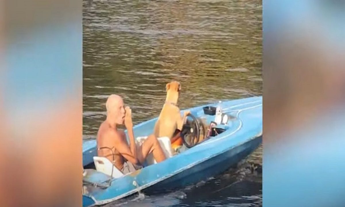 Τον γύρο του διαδικτύου κάνει το βίντεο με ένα σκύλο να οδηγεί σκάφος και να κάνει βόλτα τον ιδιοκτήτη του