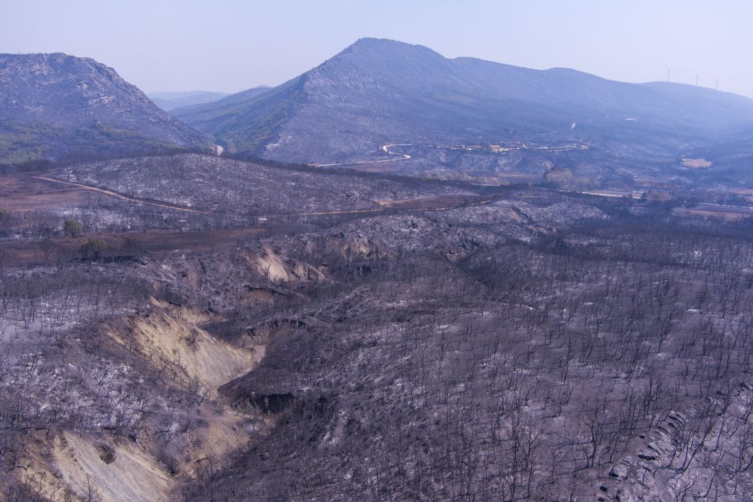 Ούτε ιερό – ούτε όσιο: Η κυβέρνηση τώρα αμφισβητεί και τις δορυφορικές εικόνες για τις καμένες εκτάσεις!