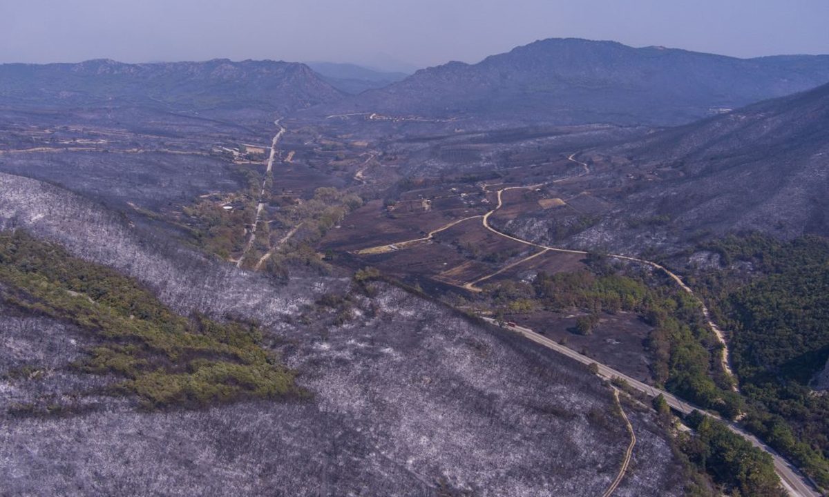Κομισιόν: Η φωτιά στον Έβρο είναι η μεγαλύτερη στην ΕΕ από το 2000 – Στάχτη 808.000 στρέμματα και η κυβέρνηση αφήνει τα καμένα σε ιδιώτες