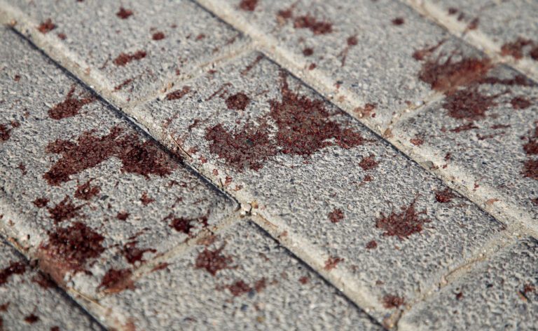 Οπαδική βία: Πόσες φορές σου φώναξαν οι αδικοχαμένοι νεκροί πώς αυτή η χώρα έχει γίνει σφαγείο για το χατίρι μιας μπάλας;