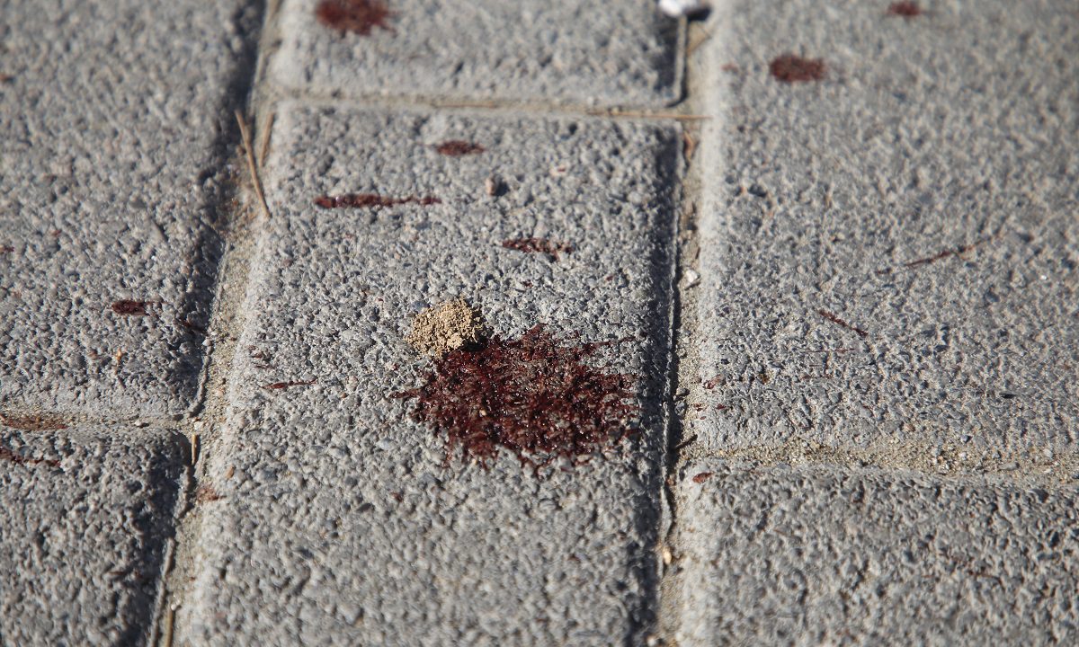 Στο νοσοκομείο με έμφραγμα η μητέρα του οπαδού της ΑΕΚ που δολοφονήθηκε!