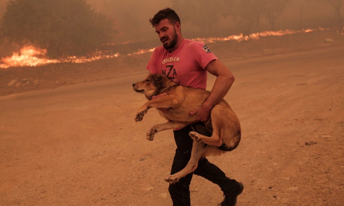Πυρκαγιές: Κάτοικος ρίχνεται στις φλόγες και σώζει ζώα – Οι αβοήθητοι πολίτες που πονούν τον τόπο τους, τελευταία γραμμή άμυνας