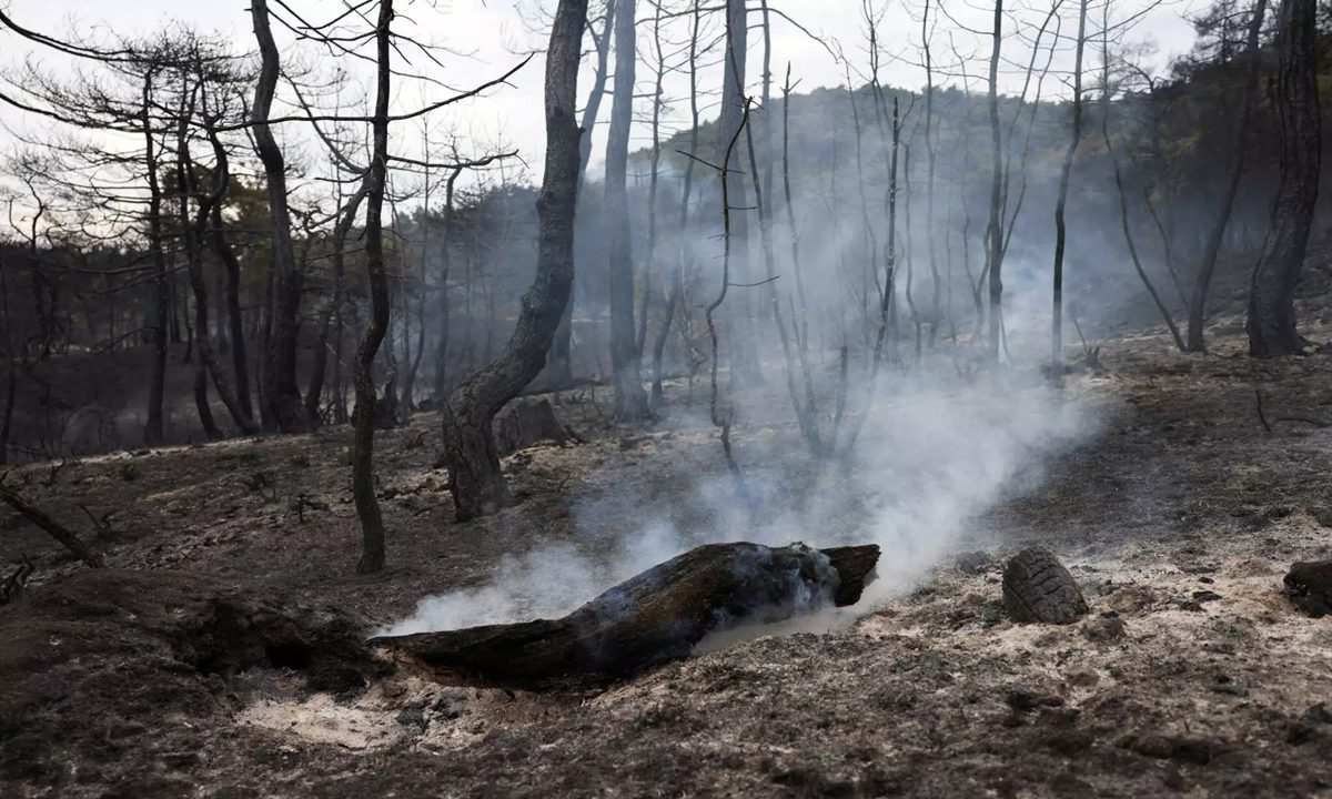 Οι πυρκαγιές συνεχίζουν ανενόχλητες το καταστρεπτικό έργο τους - Αφύλακτος ο Έβρος με το δάσος της Δαδιάς να γίνεται παγίδα θανάτου για δεκάδες ανθρώπους.