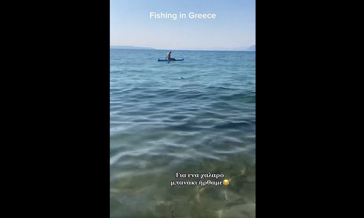 Χαλκίδα: Λαχτάρισαν σε παραλία νομίζοντας πως είναι καρχαρίας – Το video που έγινε viral