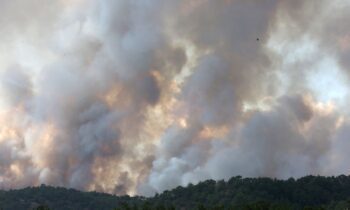 Κοινωνία: Φωτιά: Χάος και απόγνωση για 15η συνεχόμενη ημέρα στον Έβρο – Νέα εκκένωση στη Λευκίμμη (vids)