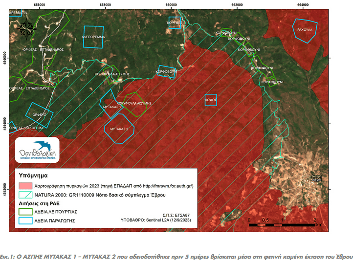 Έβρος: Ανέκρουσε πρύμναν η κυβέρνηση μετά το σάλο που προκλήθηκε με την αποκάλυψη για εγκατάσταση αιολικών σε καμένες περιοχές Natura.