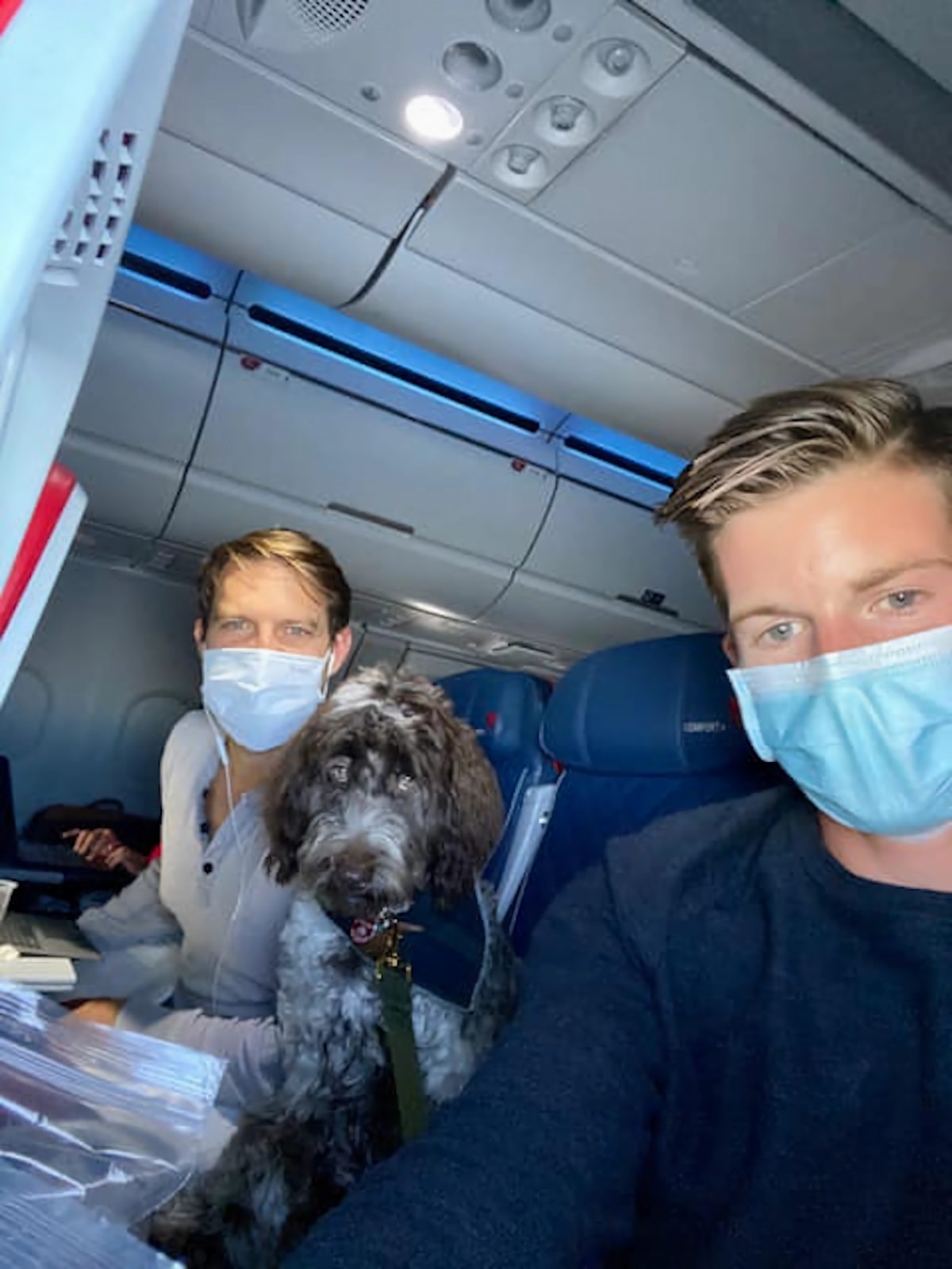 Ήταν 1η Οκτωβρίου του 2019 όταν η Farlie, το πορτογαλικό θαλασσόσκυλο που επέλεξαν να βάλουν στη ζωή τους ο Στέφανος Κασσελάκης και ο Tyler