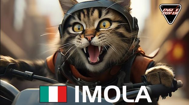 imola-motgp-cats-gatakia-gates-grand-prix-gp-italia-italy-circuit-cat-motorbikes