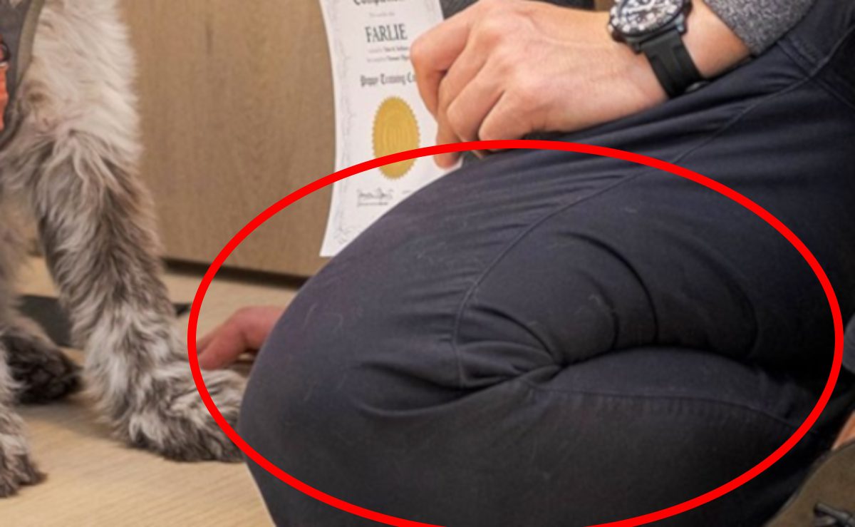 Στέφανος Κασσελάκης και Tyler δεν έχουν κρύψει πως αντιμετωπίζουν την Farlie σαν παιδί και αυτό το μοιράζονται και στα social media.