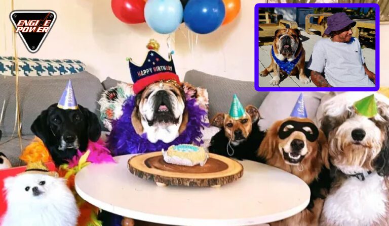 Ο σκύλος του Lewis Hamilton έχει γενέθλια και παρτάρουμε