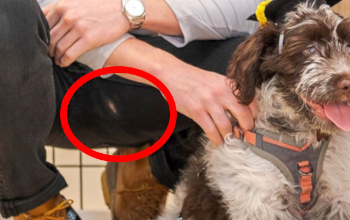 Στέφανος Κασσελάκης και Tyler δεν έχουν κρύψει πως αντιμετωπίζουν την Farlie σαν παιδί και αυτό το μοιράζονται και στα social media.