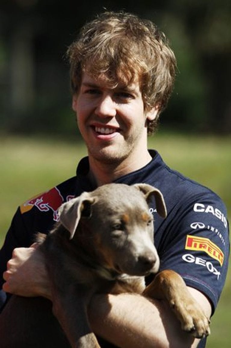 F1 Drivers and Dogs-skilos-formula 1-skili-formula1