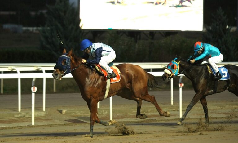 Markopoulo Park: Εντυπωσιακές αφίξεις με ανατροπές, 6 νικητές στο ΣΚΟΡ 6 κέρδισαν από 2.236 ευρώ
