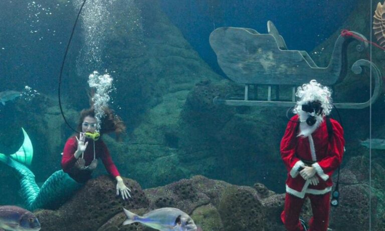 Viral: Χριστούγεννα κάτω από το νερό – Υποβρύχιος Άγιος Βασίλης και γοργόνα! (vid)