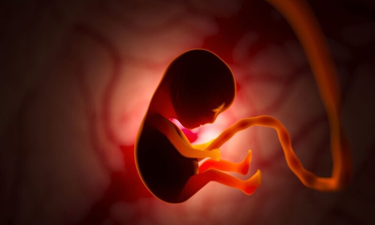 Μια χυδαία υποκρισία: Ο κόσμος φρίττει με το έμβρυο στη Σόλωνος, άλλα όχι με τα χιλιάδες έμβρυα που γίνονται «ιατρικά απόβλητα» με τις εκτρώσεις!