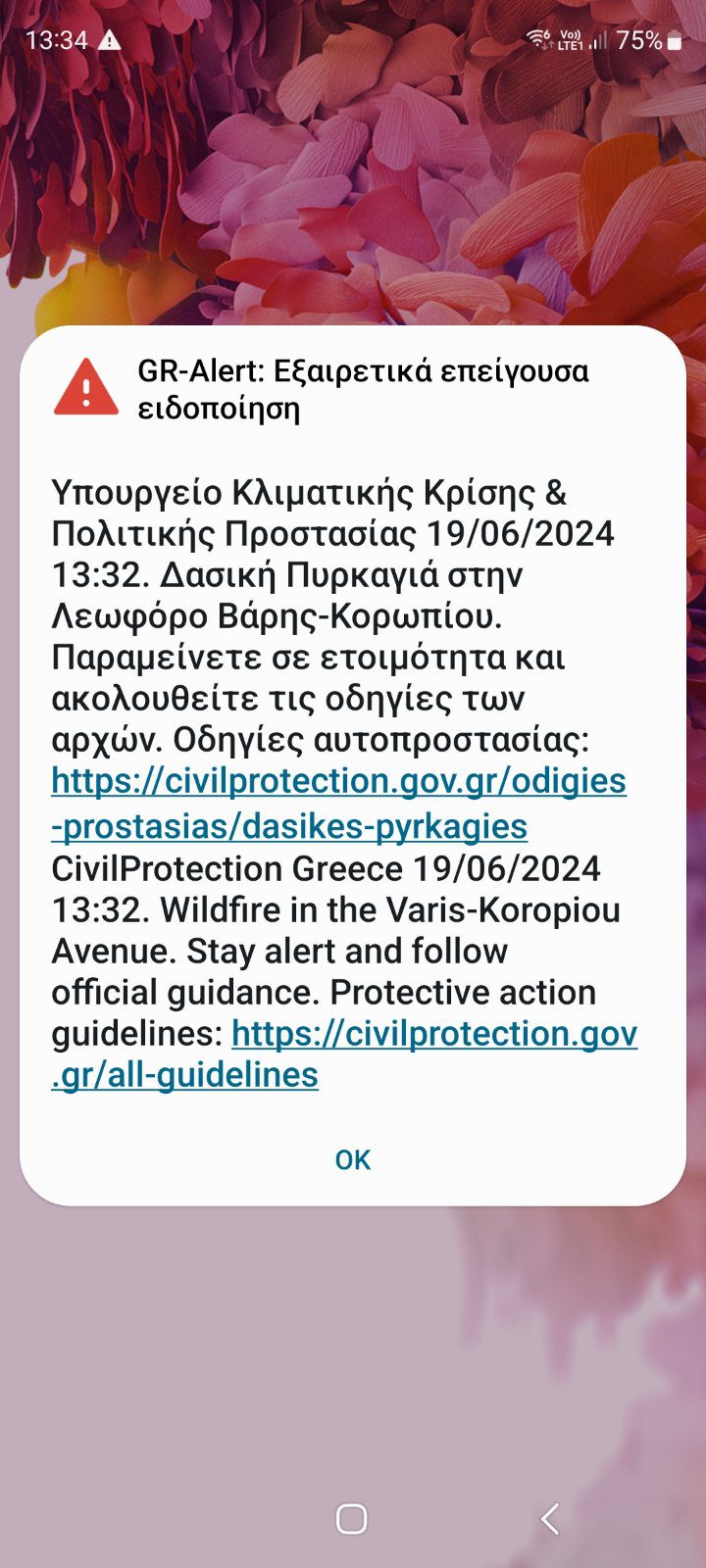 Βάρη: Φωτιά τώρα μετά τη σχολή Ευελπίδων - Μήνυμα από το 112!