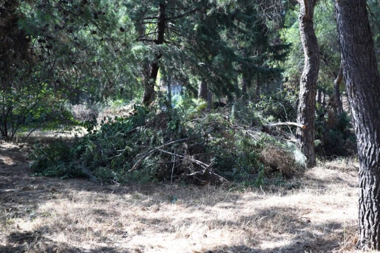 Τώρα – Ακρωτηριασμός συμβασιούχου υπαλλήλου στο Δήμο Καισαριανής – Δούλευε με εργαλεία χωρίς τις απαραίτητες γνώσεις