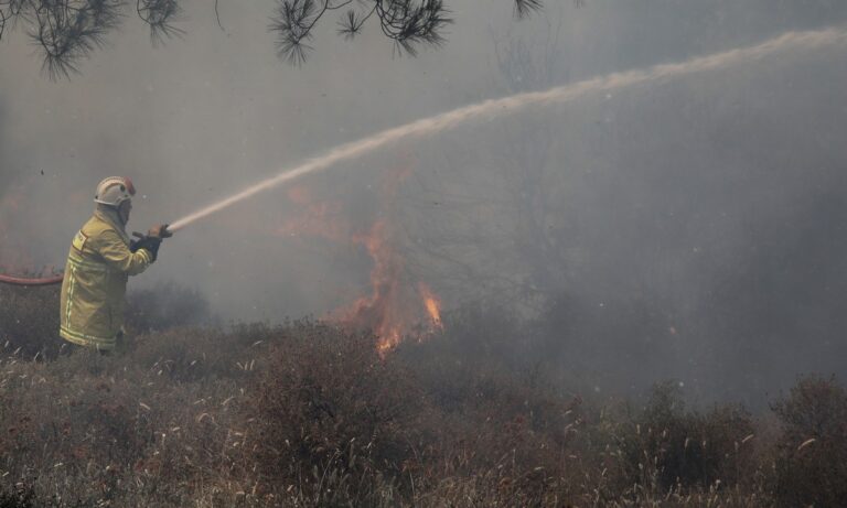 Φωτιά στη Σαλαμίνα κοντά σε σπίτια!