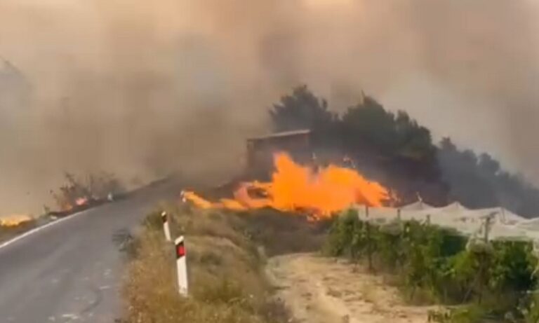 Φωτιά στα Βίλια