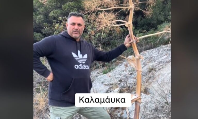 Ο φυσικός νάρθηκας που χρησιμοποιήσουν οι πρακτικοί στα σπασίματα χεριών και ποδιών!