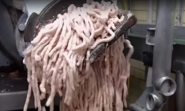 Καλύτερα που δεν έχετε δει πως φτιάχνονται τα λουκάνικα για hot dog