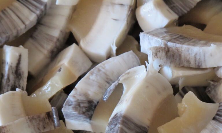 Το πιο περίεργο σνακ του κόσμου: Μουκτούκ απο Φάλαινες