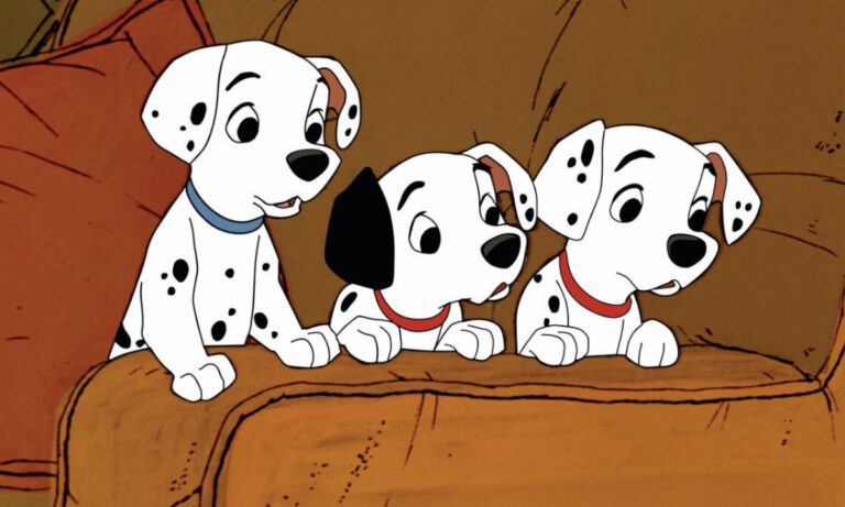 Τα σκυλιά Δαλματίας δεν έχουν βούλες όταν γεννιούνται, τι γίνεται μετά;