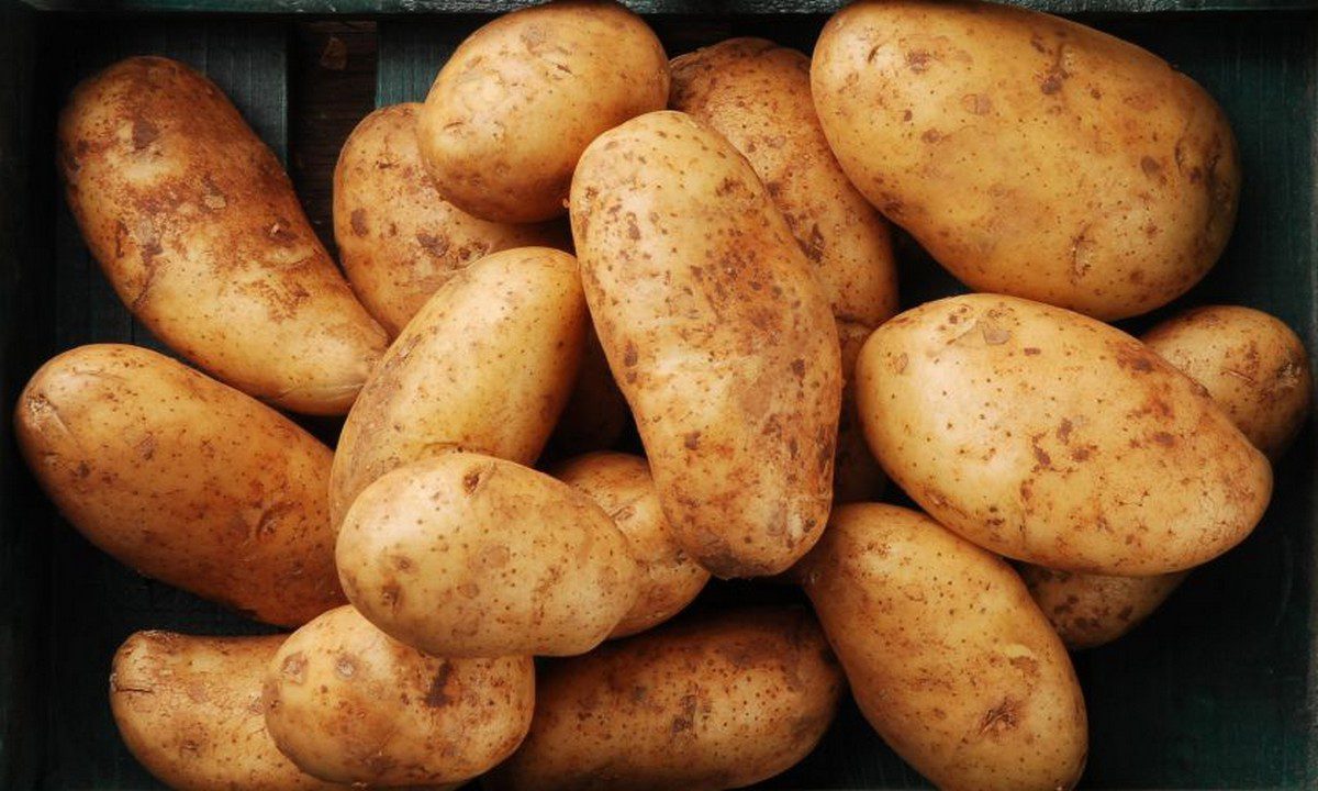 Το παράδοξο της πατάτας στα Μαθηματικά